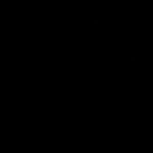 Meet your Posher, Sheyla